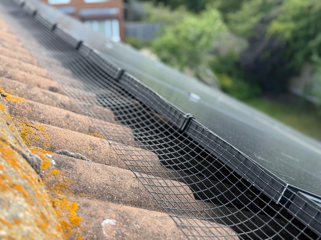 How to Stop Pigeons Damaging Under Your Solar Panels
